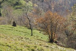 Alpi_Apuane (374), Alpinismo (498), Gr_Croce_Nona (107), Monte Croce (80)